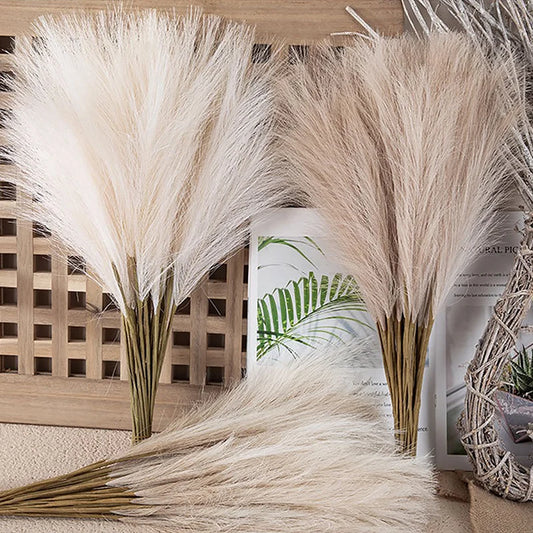 Fluffy Pampas Grass Flower